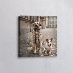 Square Canvas Prints