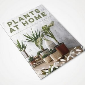 Stapled Brochures